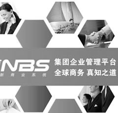 集團企(qi)業管理-NBS