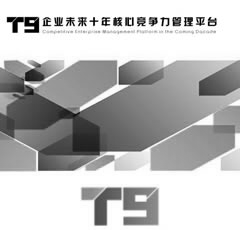 大型企(qi)業管理-T9